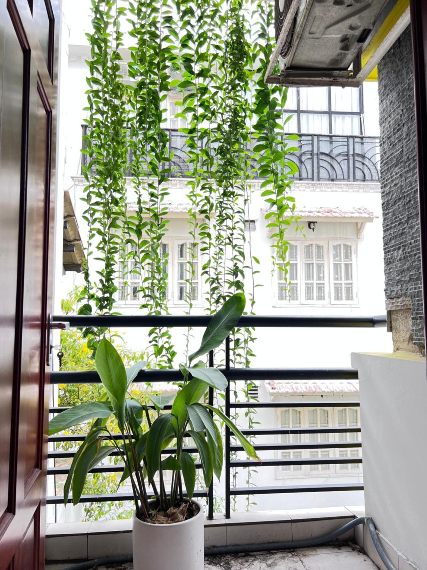 Co Homestay Saigon โฮจิมินห์ซิตี้ ภายนอก รูปภาพ